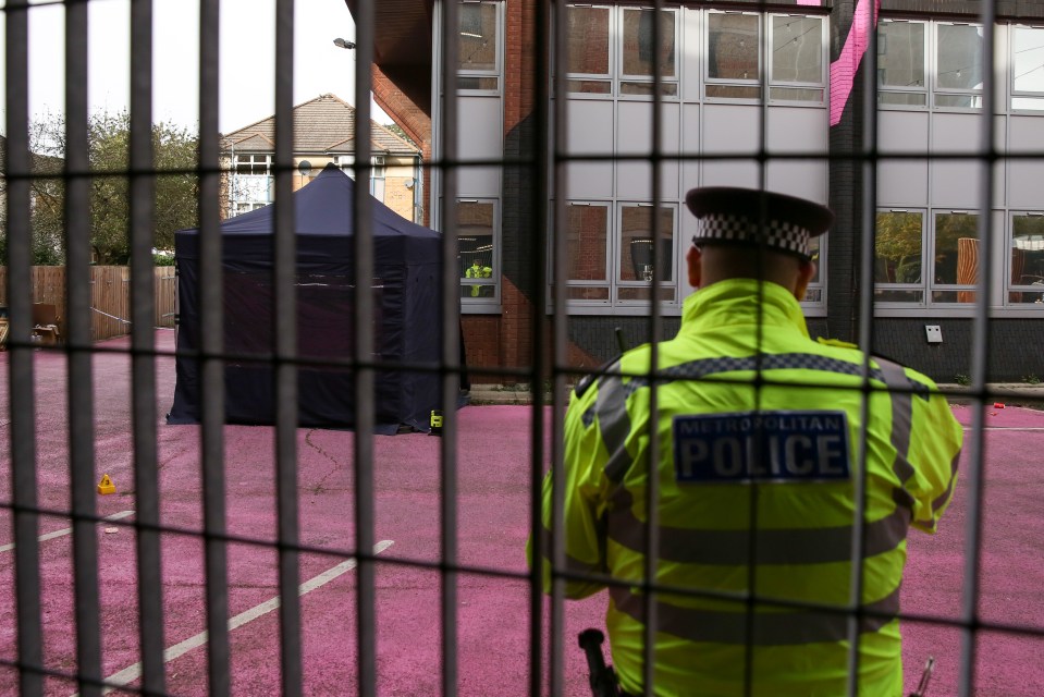 Officers and London Ambulance Service attended