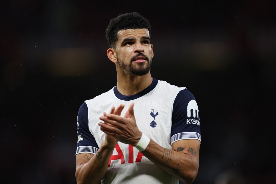 a man wearing a tottenham shirt applauds the crowd