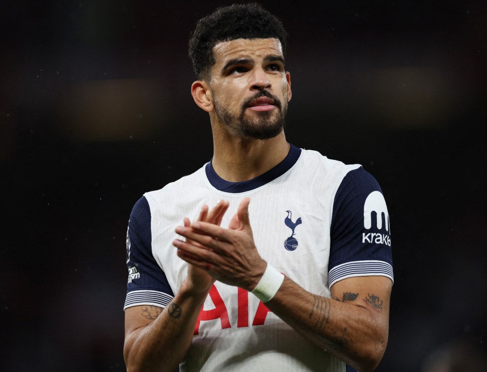 a man wearing a tottenham shirt applauds the crowd