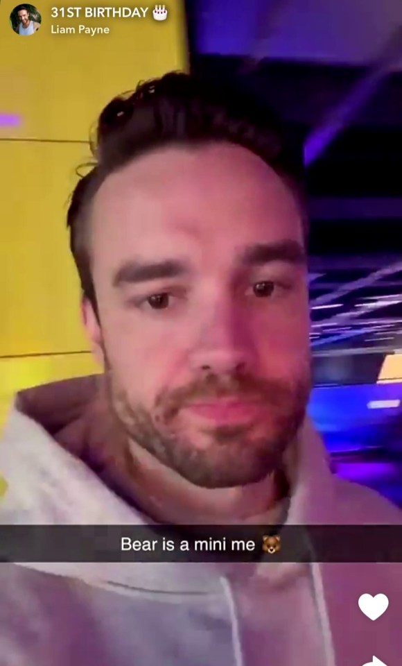 liam payne 's 31st birthday is being celebrated on snapchat