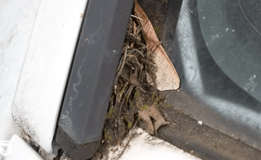 a close up of a dirty window with a few leaves on it