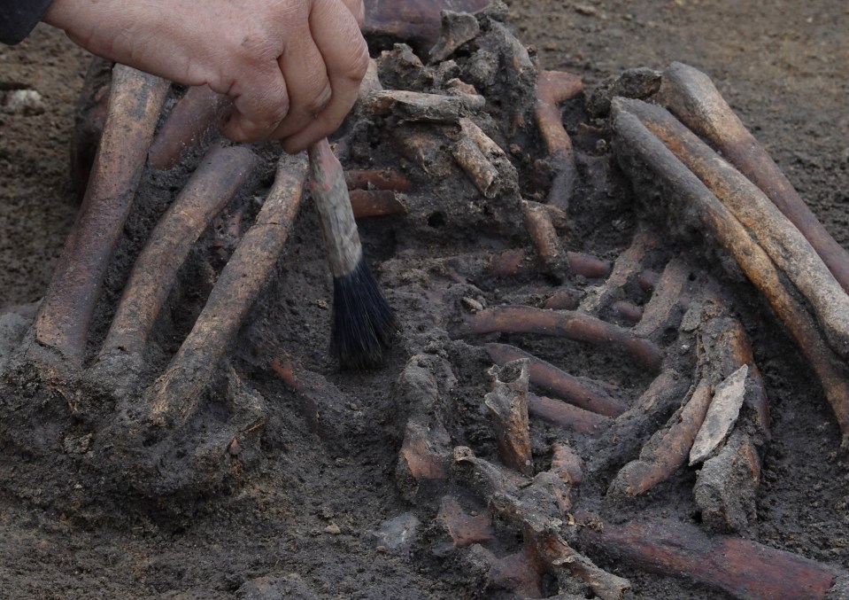 a person is cleaning a pile of bones with a brush