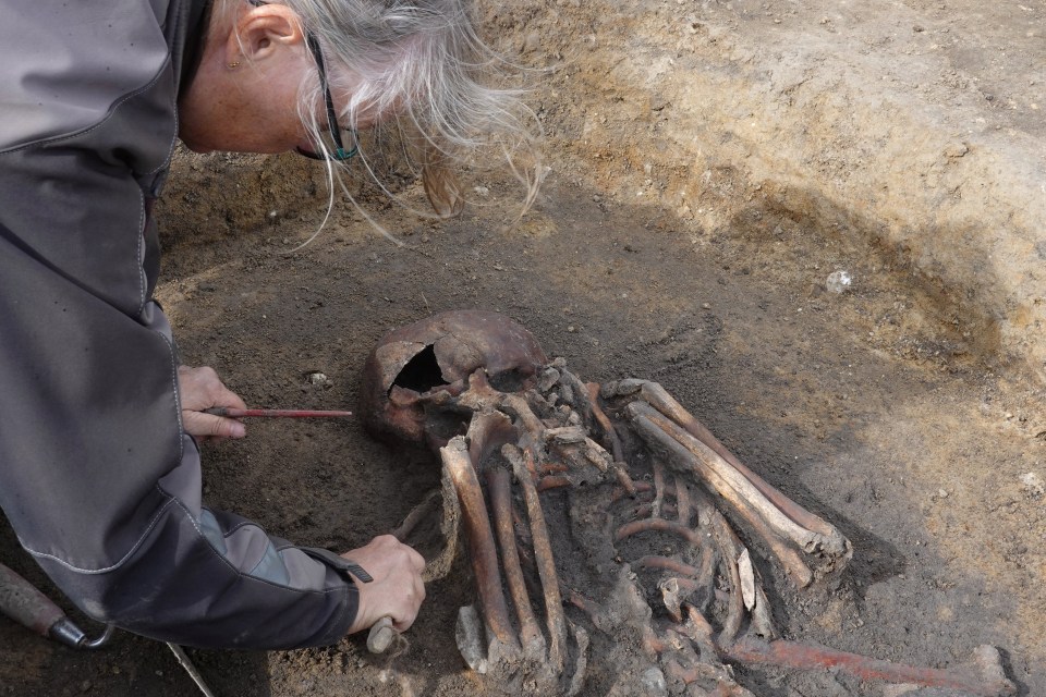 a woman is working on a skeleton in the dirt