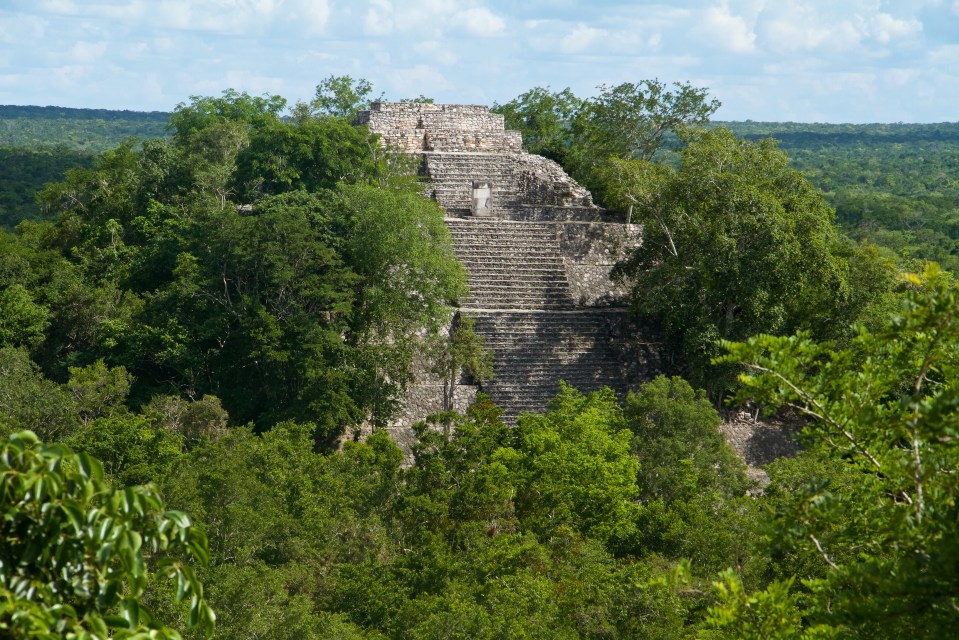 a large stone structure is surrounded by trees and bushes