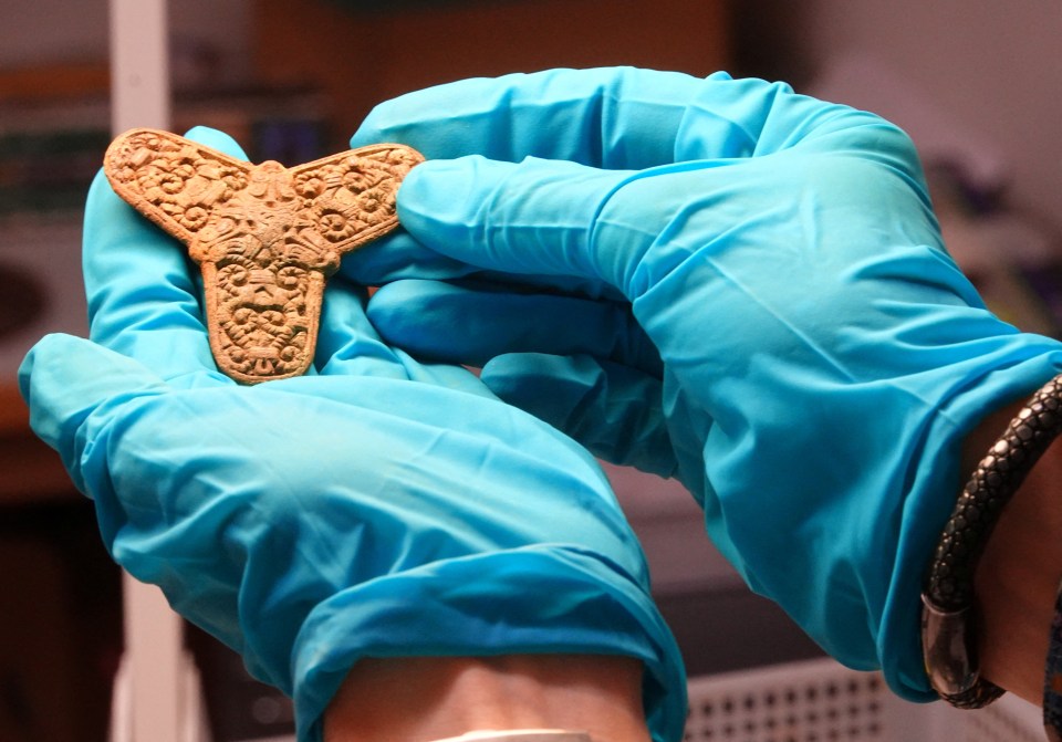 a person wearing blue gloves is holding a butterfly shaped object