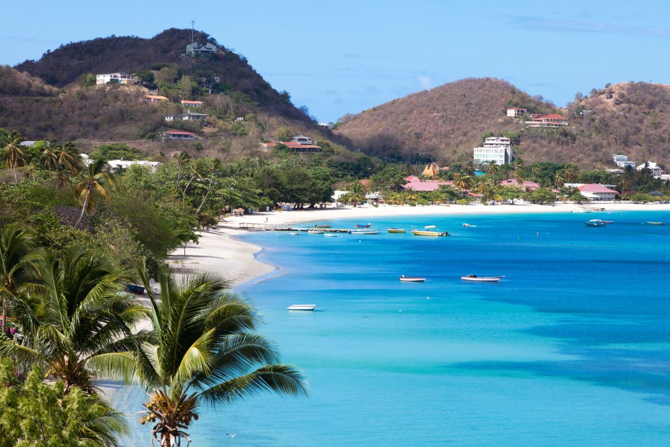a beach with palm trees and mountains in the background