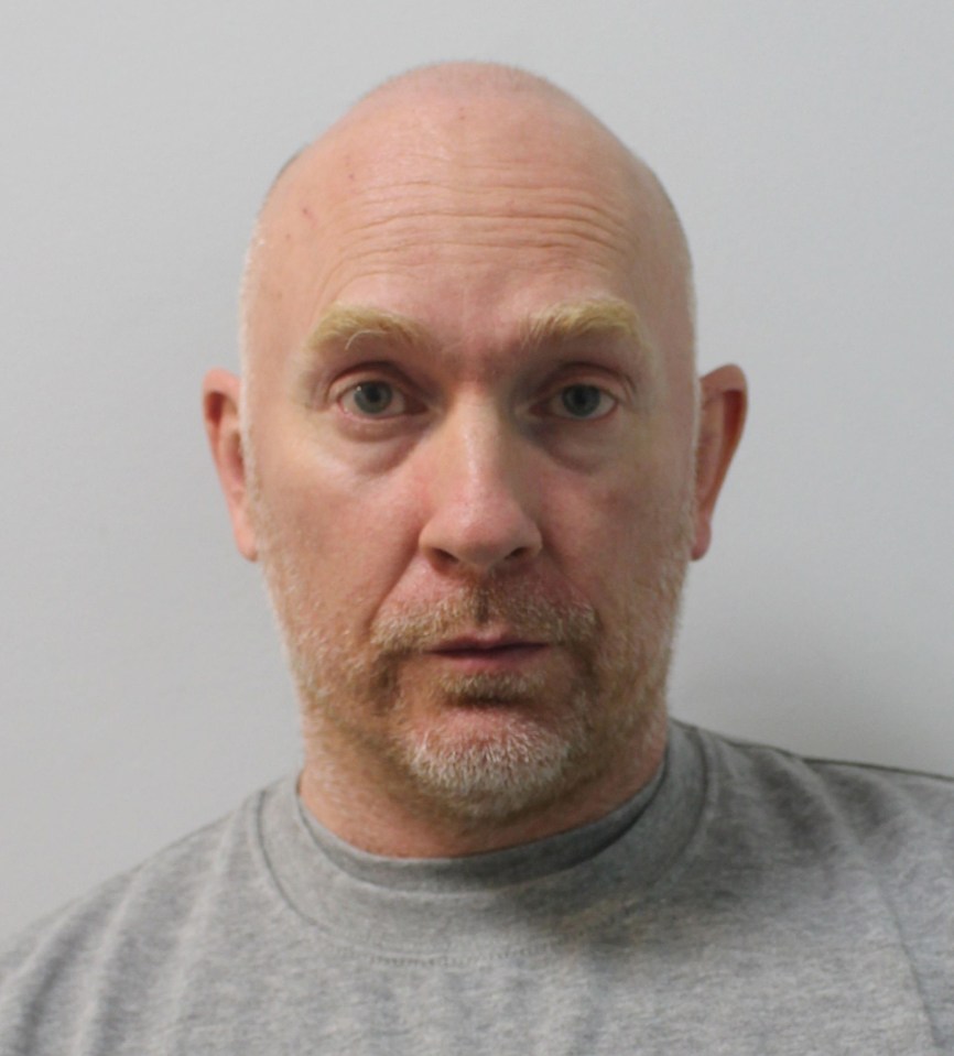 a bald man with a beard is wearing a grey shirt