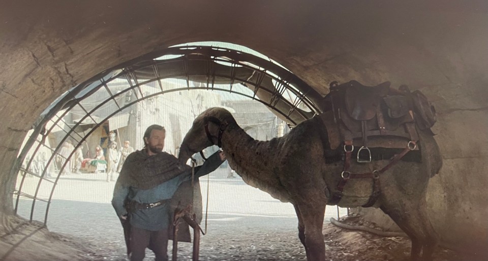 a man standing next to a camel in a tunnel