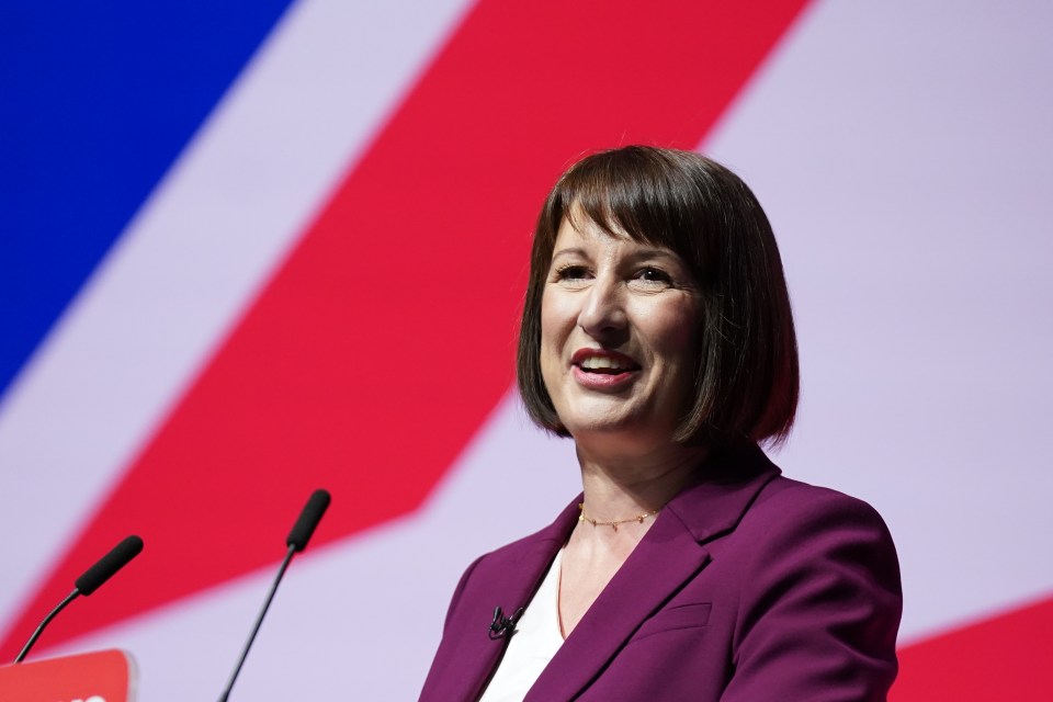 a woman in a purple jacket stands in front of two microphones