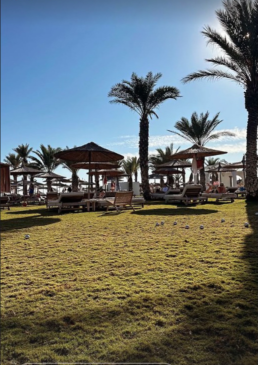a lush green field with palm trees and umbrellas