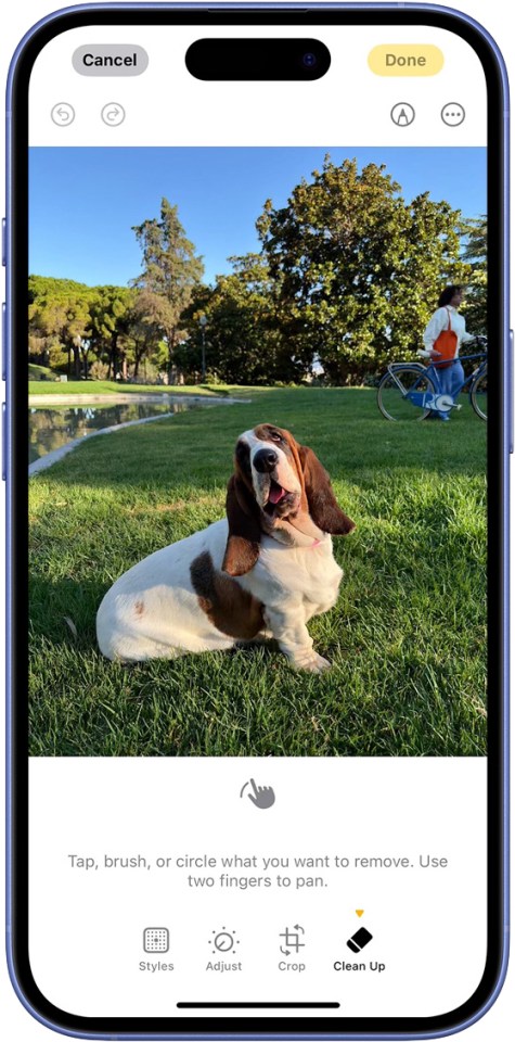 a phone screen shows a picture of a basset hound laying in the grass