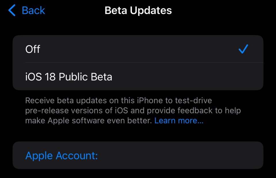 a screenshot of the beta updates screen on an iphone