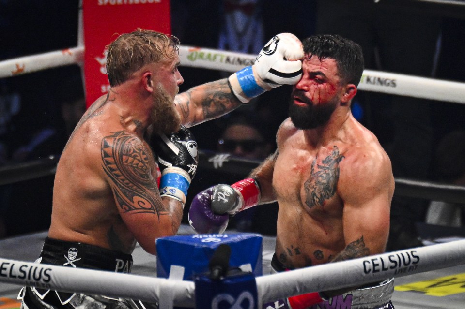 two boxers in a ring with celsius on the ropes
