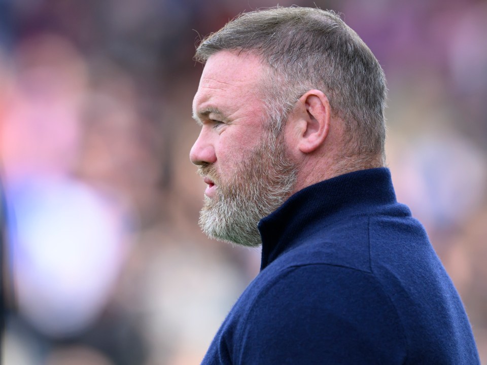 a man with a beard is wearing a blue sweater