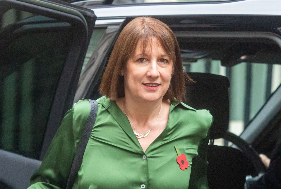 a woman in a green shirt with a red poppy on her chest
