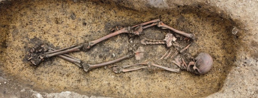 a skeleton is laying in the dirt in a grave