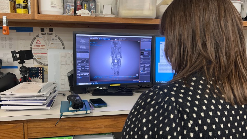 a woman is looking at a computer screen that says ' skeleton ' on it