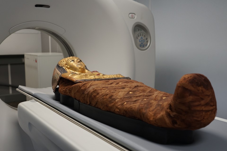 a mummy is being examined by a ct scan machine