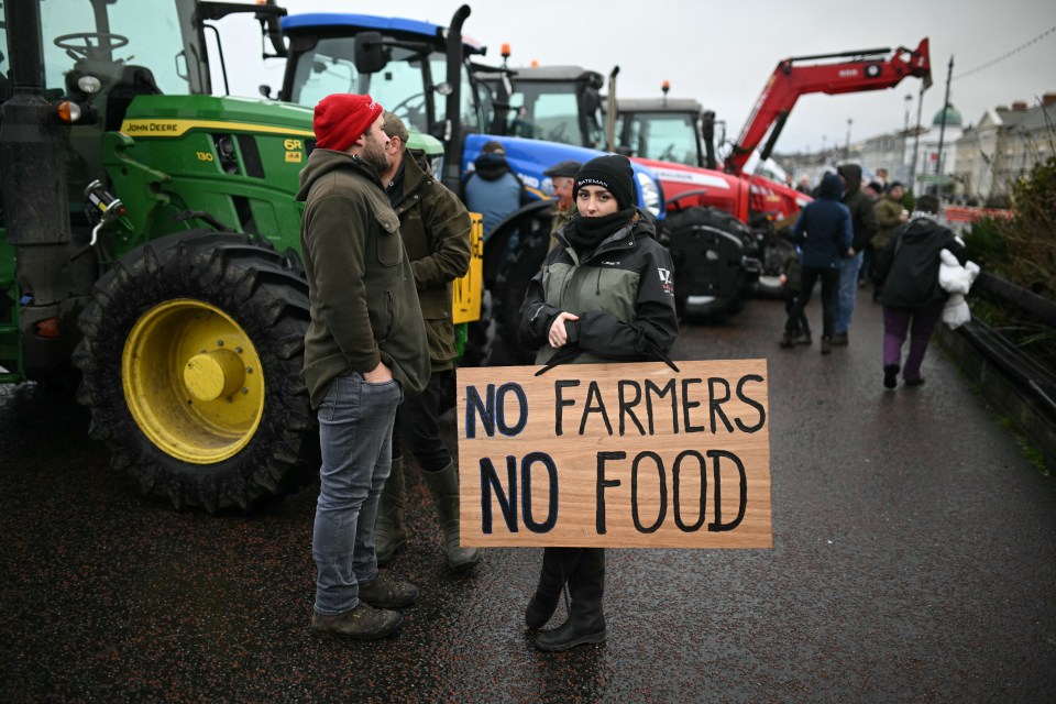 a woman holding a sign that says no farmers no food