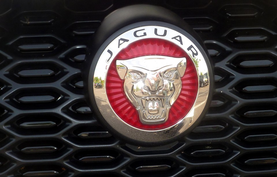 a jaguar emblem on the front of a car