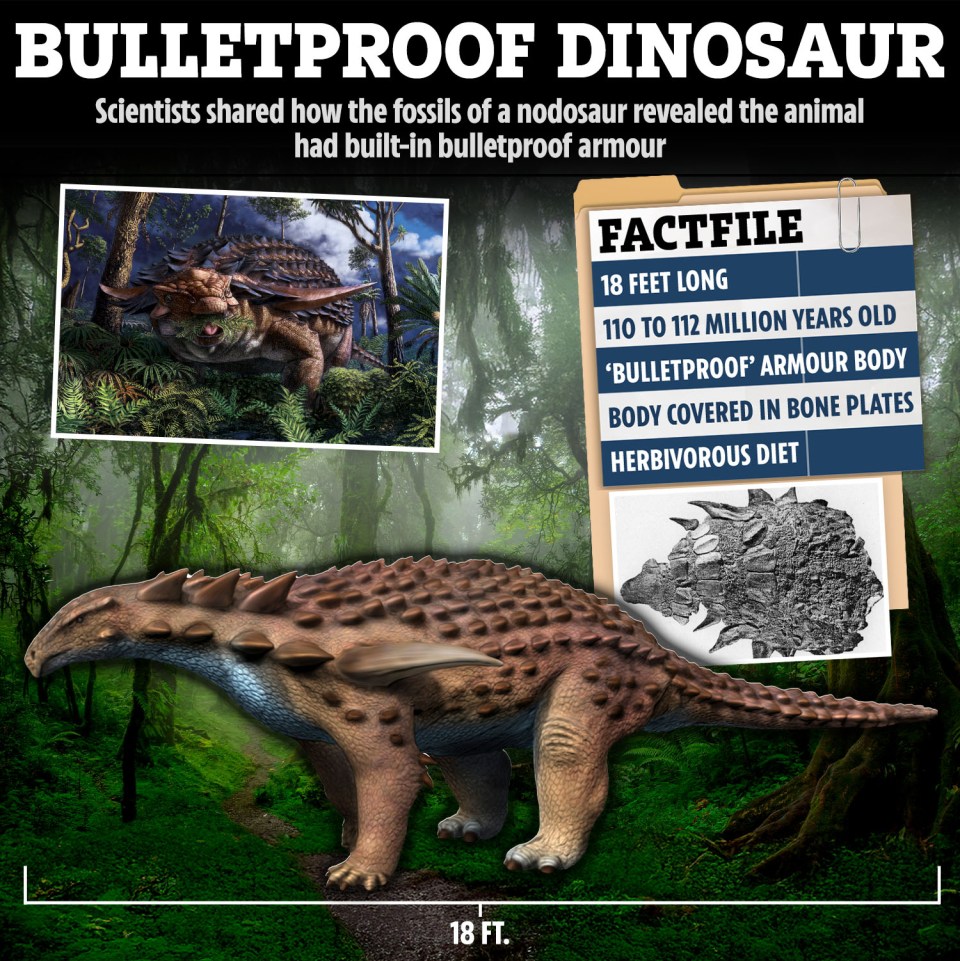a bulletproof dinosaur is 18 feet long