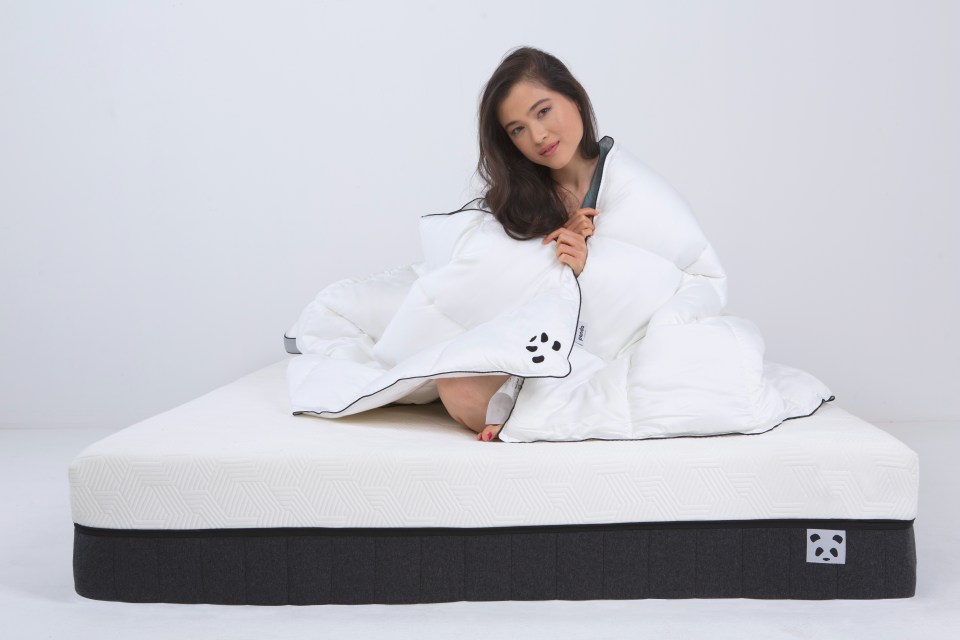 panda-black-friday-sale