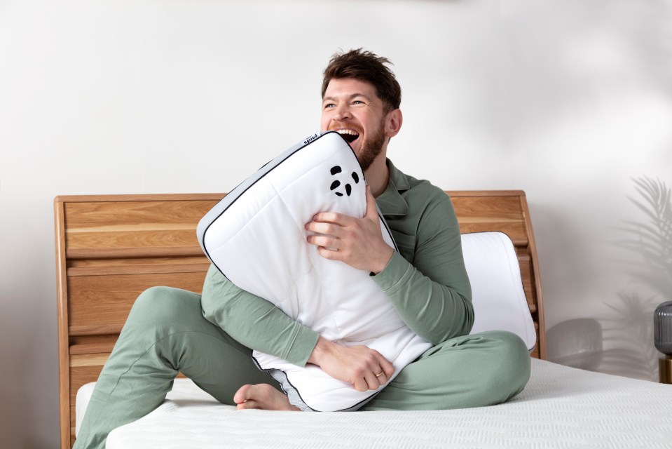 panda-black-friday-sale