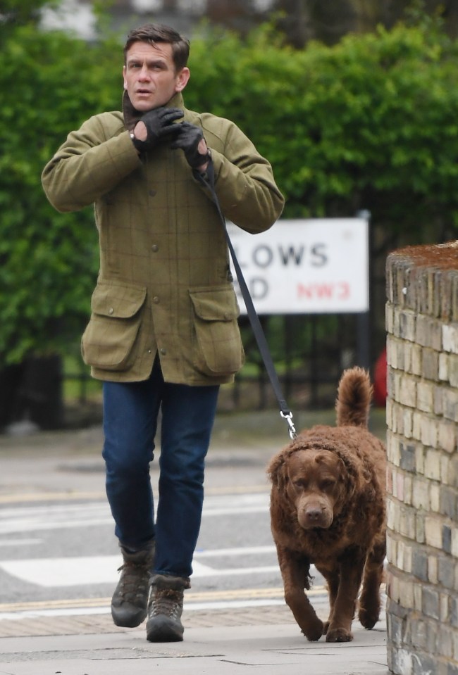 a man is walking a brown dog on a leash