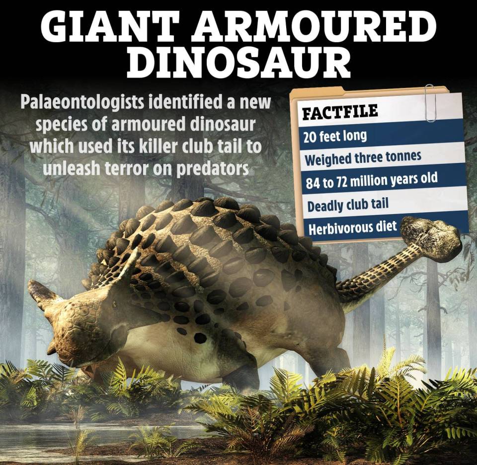 an illustration of a giant armoured dinosaur with a factfile attached to it