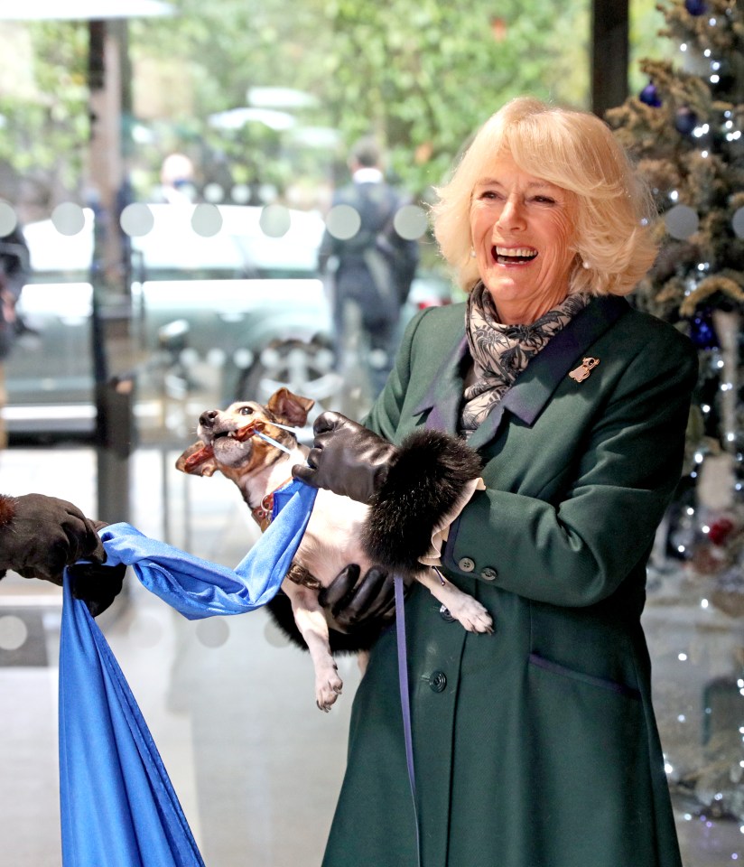 Queen Camilla's beloved dog Beth passed away recently