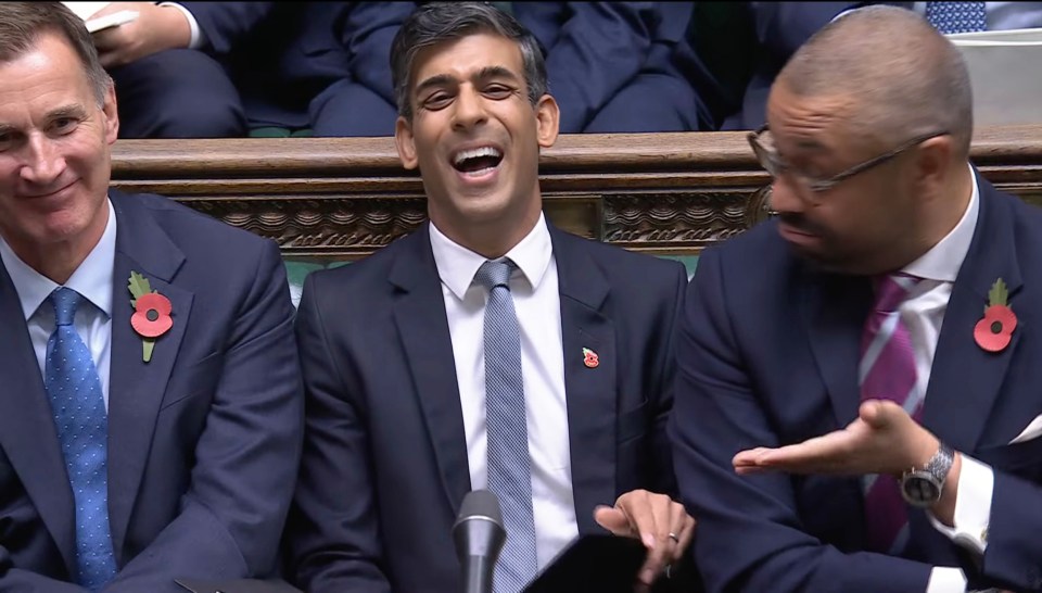 a man in a suit has a red poppy on his shirt