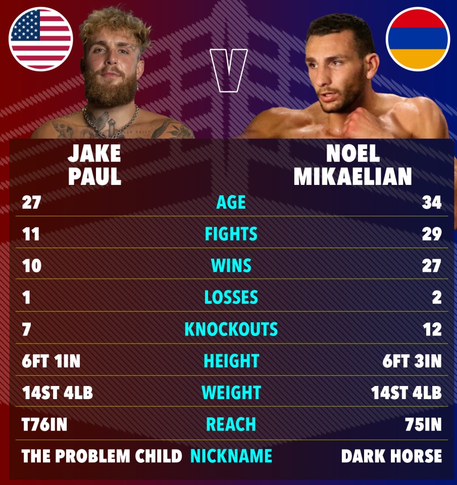 a poster showing the stats of jake paul and noel mikaelian