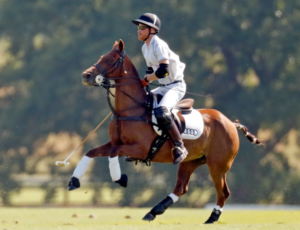 a man riding a brown horse with an audi saddle