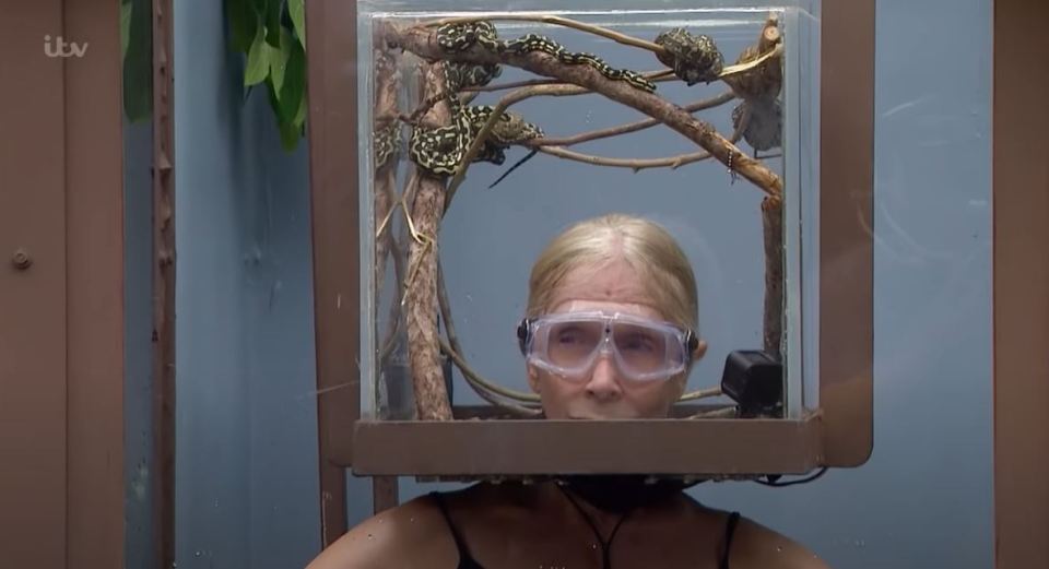 a woman wearing goggles is in a box with a snake in it