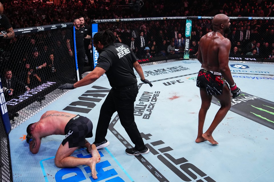 a referee stands in front of a ufc sign