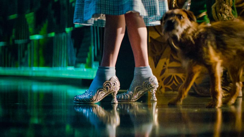 a woman standing next to a dog wearing high heels
