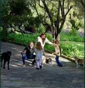 Prince Harry and Meghan's 2024 holiday card featuring photos of their year.