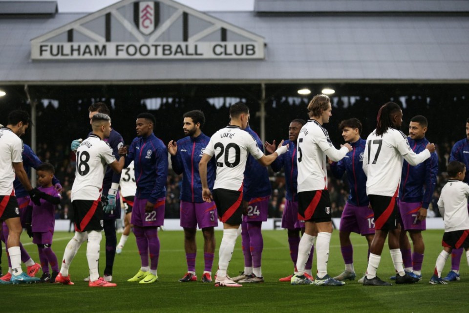 Alamy Live News. 2YMXWMR London, UK. 23rd Nov, 2024. London, November 23rd 2024: Both teams shake hands prior to kick off during the Premier League match between Fulham and Wolverhampton Wanderers at Craven Cottage on November 23, 2024 in London, England. (Pedro Soares/SPP) Credit: SPP Sport Press Photo. /Alamy Live News This is an Alamy Live News image and may not be part of your current Alamy deal . If you are unsure, please contact our sales team to check.