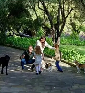 Family playing with dogs in a park.