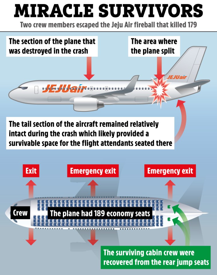 Diagram showing how two Jeju Air crew members survived a plane crash that killed 179 people.