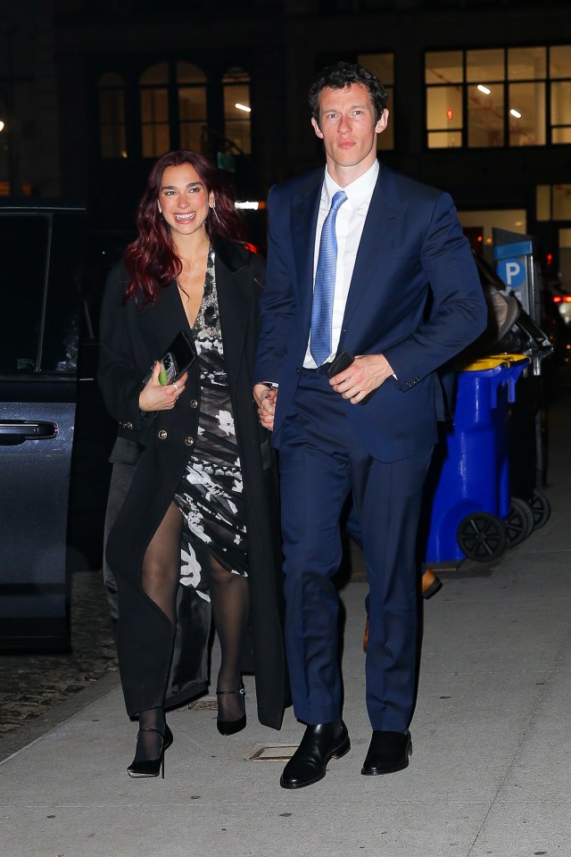 Dua Lipa and Callum Turner holding hands.