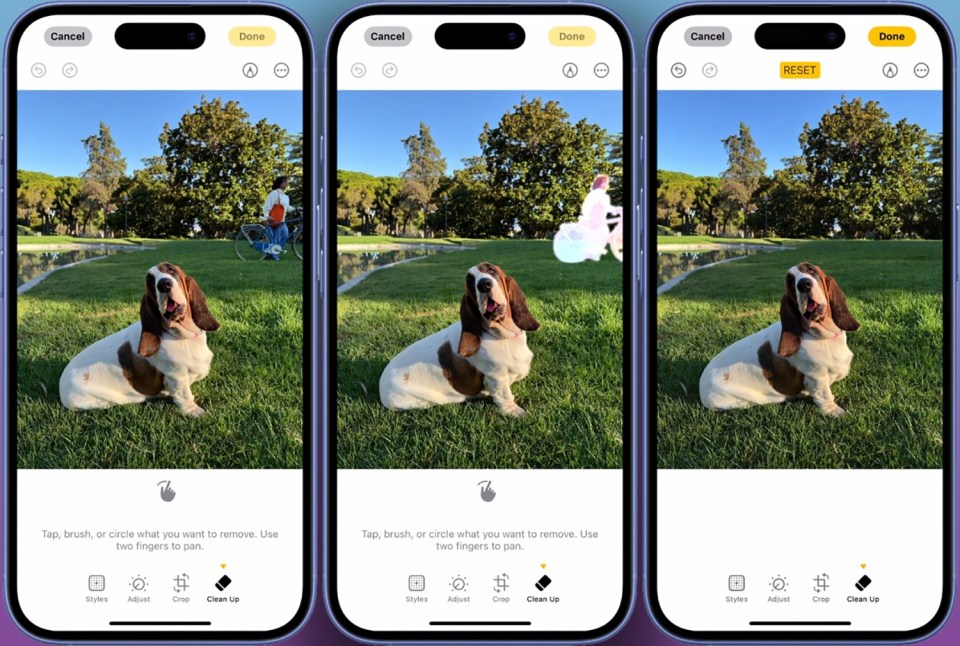 Three iPhone screens showing the Clean Up tool removing a person from a photo of a basset hound.