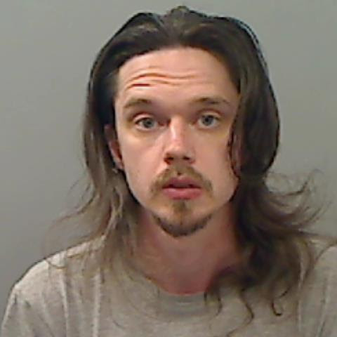 Mugshot of Paul Sild.