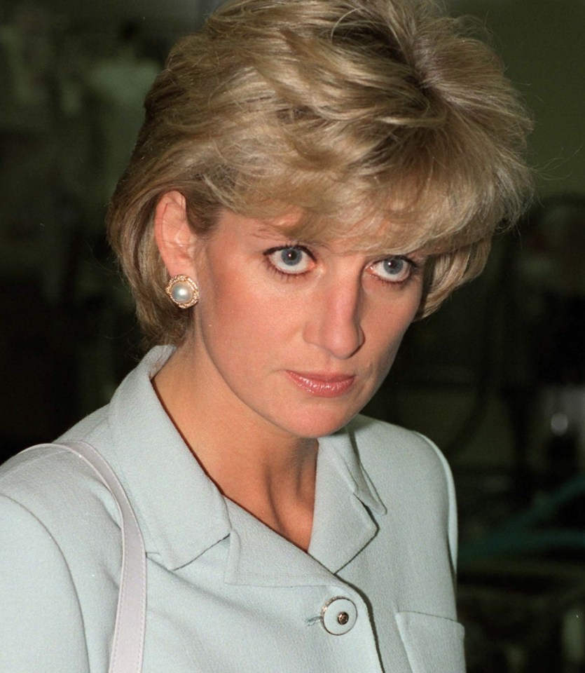Princess Diana at Cook County Hospital in Chicago.