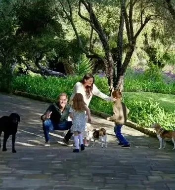 Family with two children and three dogs playing in a park.