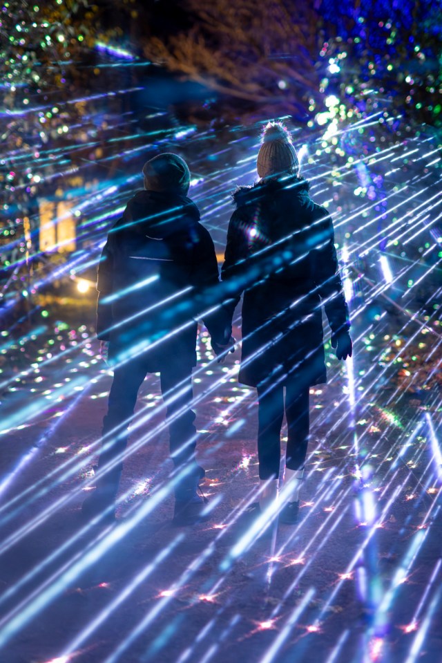 Two children holding hands walk through a light display.