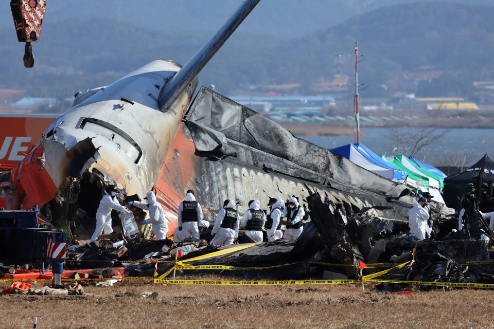 Police investigators at the wreckage of a crashed plane.