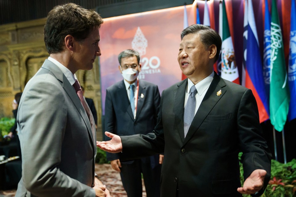 Justin Trudeau and Xi Jinping speaking at the G20 summit.