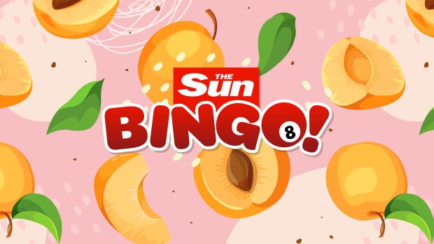 The Sun Bingo! advertisement featuring apricots.
