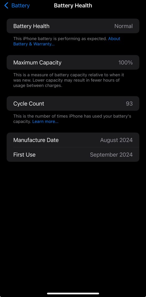 iPhone battery health report: normal performance, 100% maximum capacity, 93 cycle count.